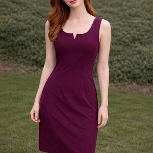 Express Maroon Bodycon Sheath Dress Size 5/6